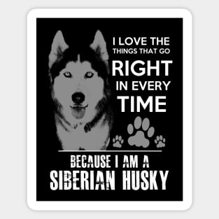 Siberian Husky Sticker